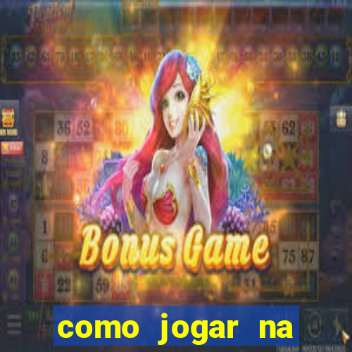 como jogar na loteca pela internet